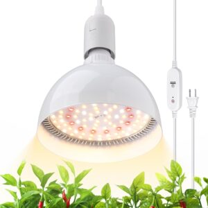 cannabis growing lights