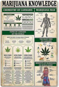 marijuana art