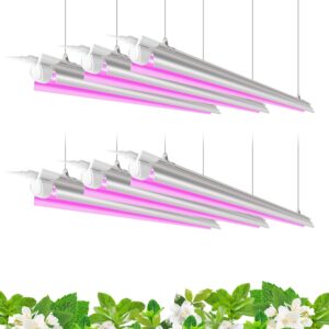 cannabis growing lights