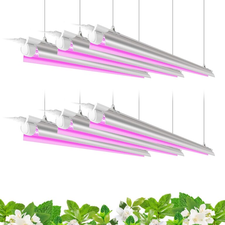 cannabis growing lights