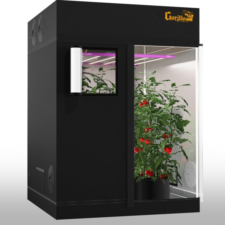 cannabis accessories growing