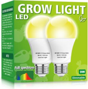 cannabis growing lights