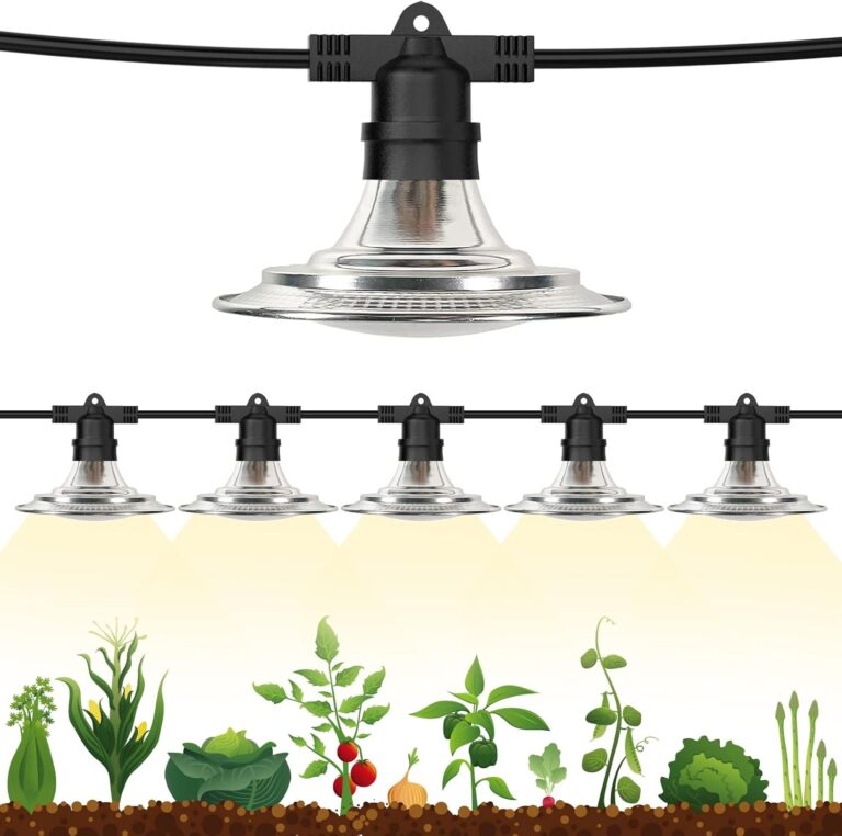 cannabis growing lights