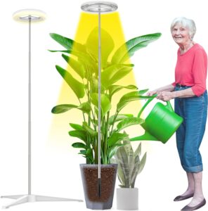 cannabis growing lights