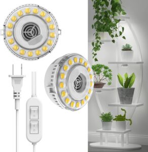 cannabis growing lights