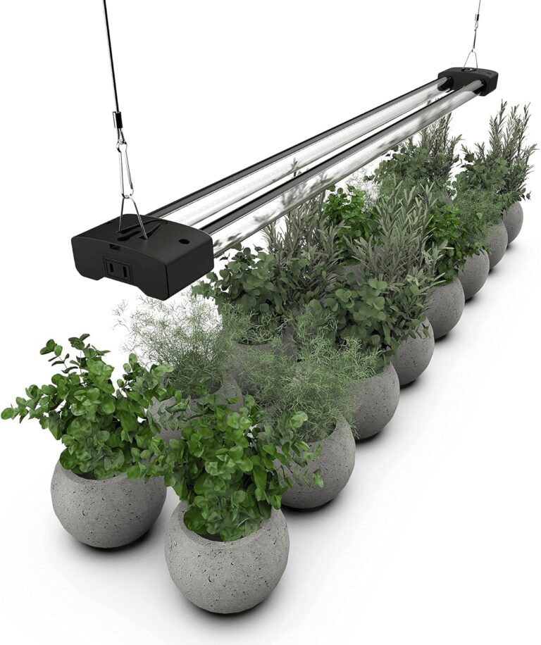 cannabis growing lights