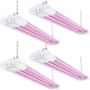 cannabis growing lights