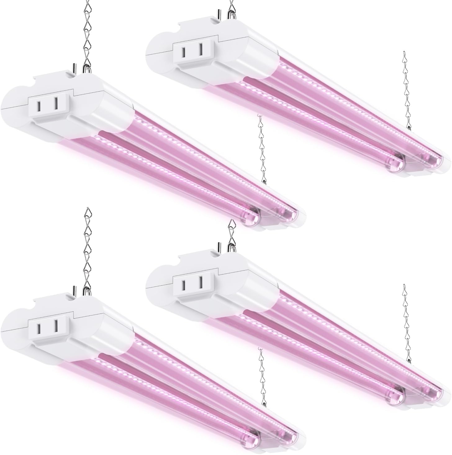 cannabis growing lights