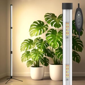 cannabis growing lights