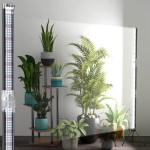 cannabis growing lights