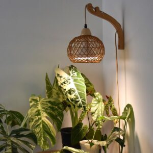 cannabis growing lights