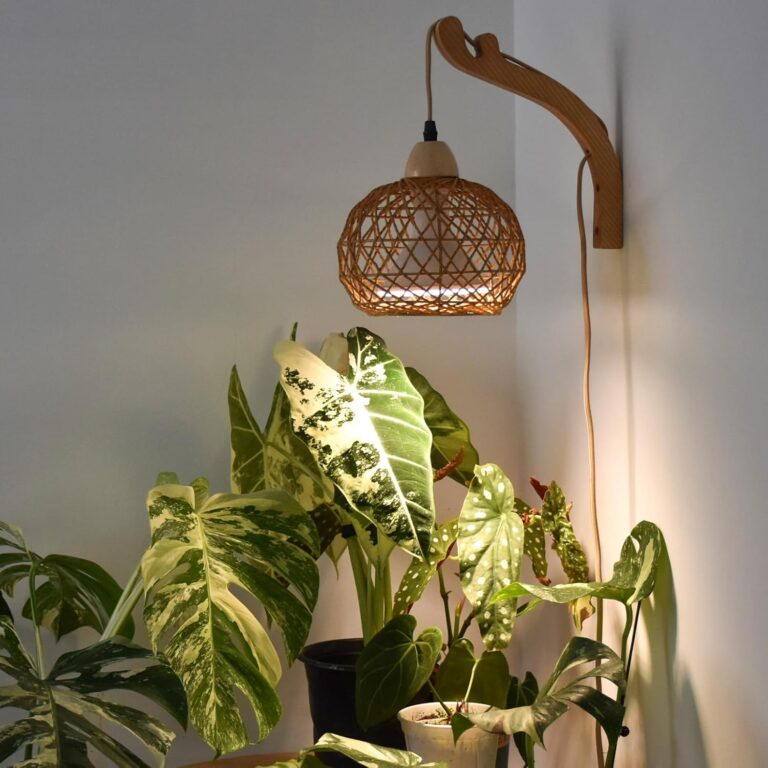 cannabis growing lights