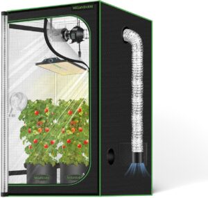 cannabis growing lights