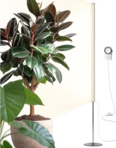 cannabis growing lights