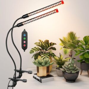 cannabis growing lights