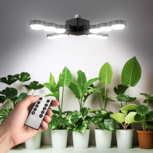 cannabis growing lights