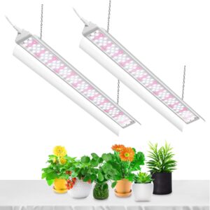 cannabis growing lights