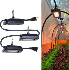 cannabis growing lights