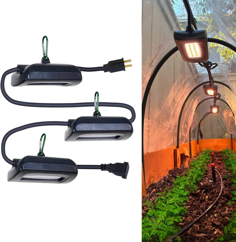 cannabis growing lights