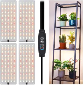 cannabis growing lights