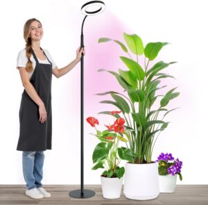 cannabis growing lights