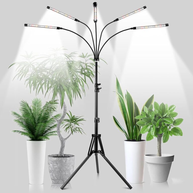 cannabis growing lights