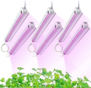 cannabis growing lights