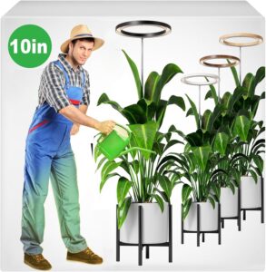 cannabis growing lights