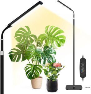 cannabis growing lights