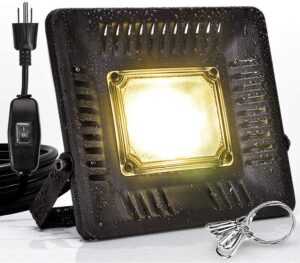 cannabis growing lights