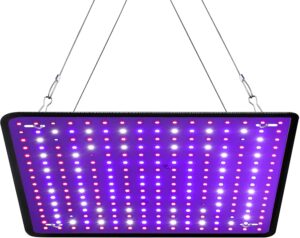 cannabis growing lights