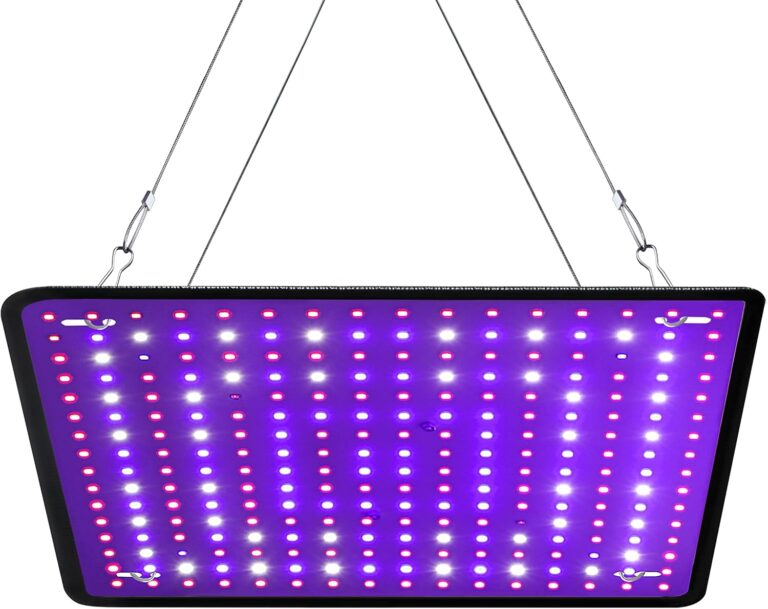 cannabis growing lights