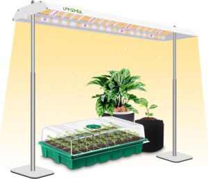 cannabis growing lights