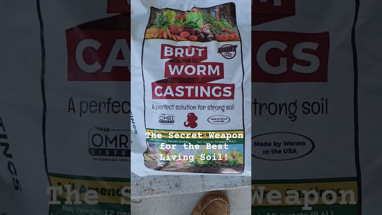 Brut Worm Castings! The Secret Weapon for Oustanding  Living Soil - Organic Cannabis Grow