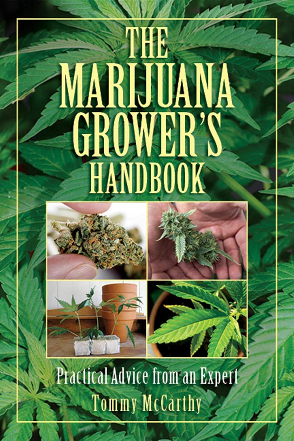 marijuana book