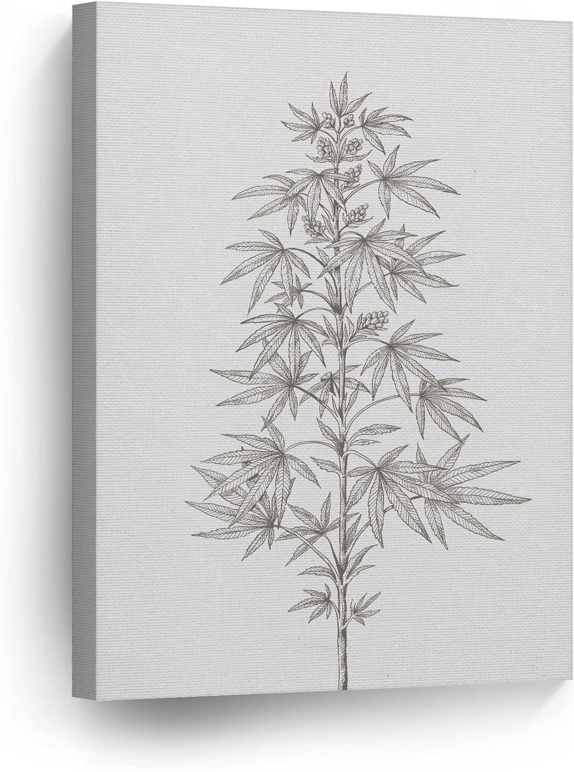 marijuana art