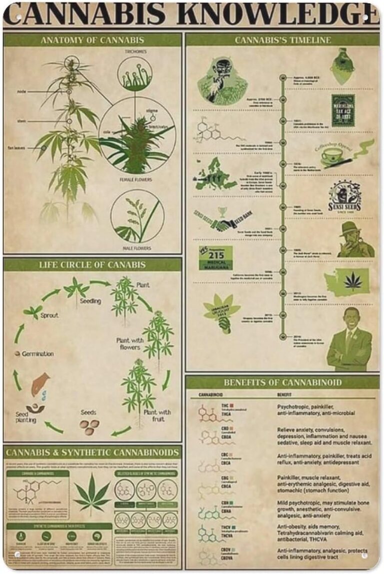 cannabis art
