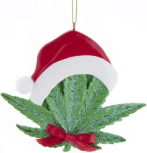 cannabis