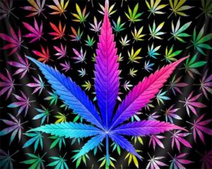 cannabis art
