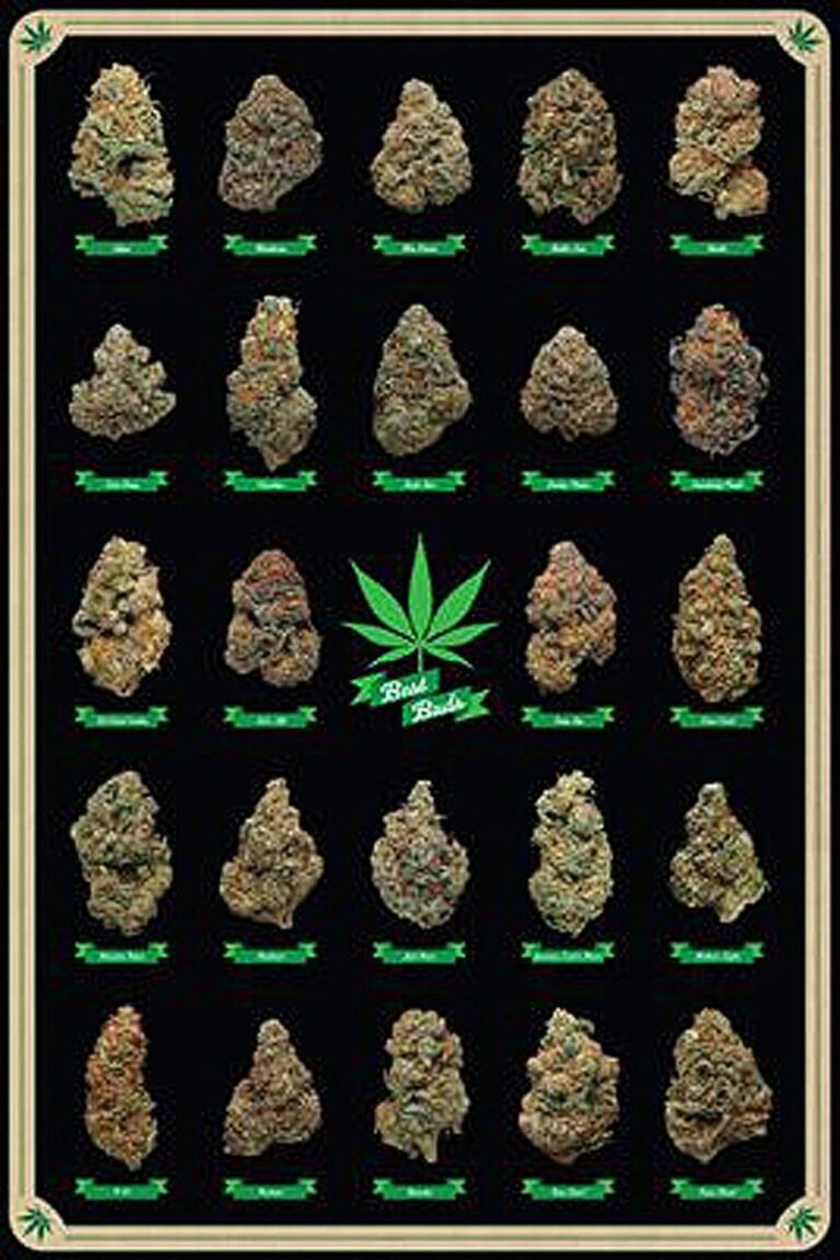 marijuana art