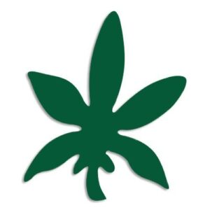 Cannabis Beauty