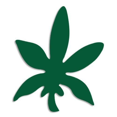 Cannabis Beauty