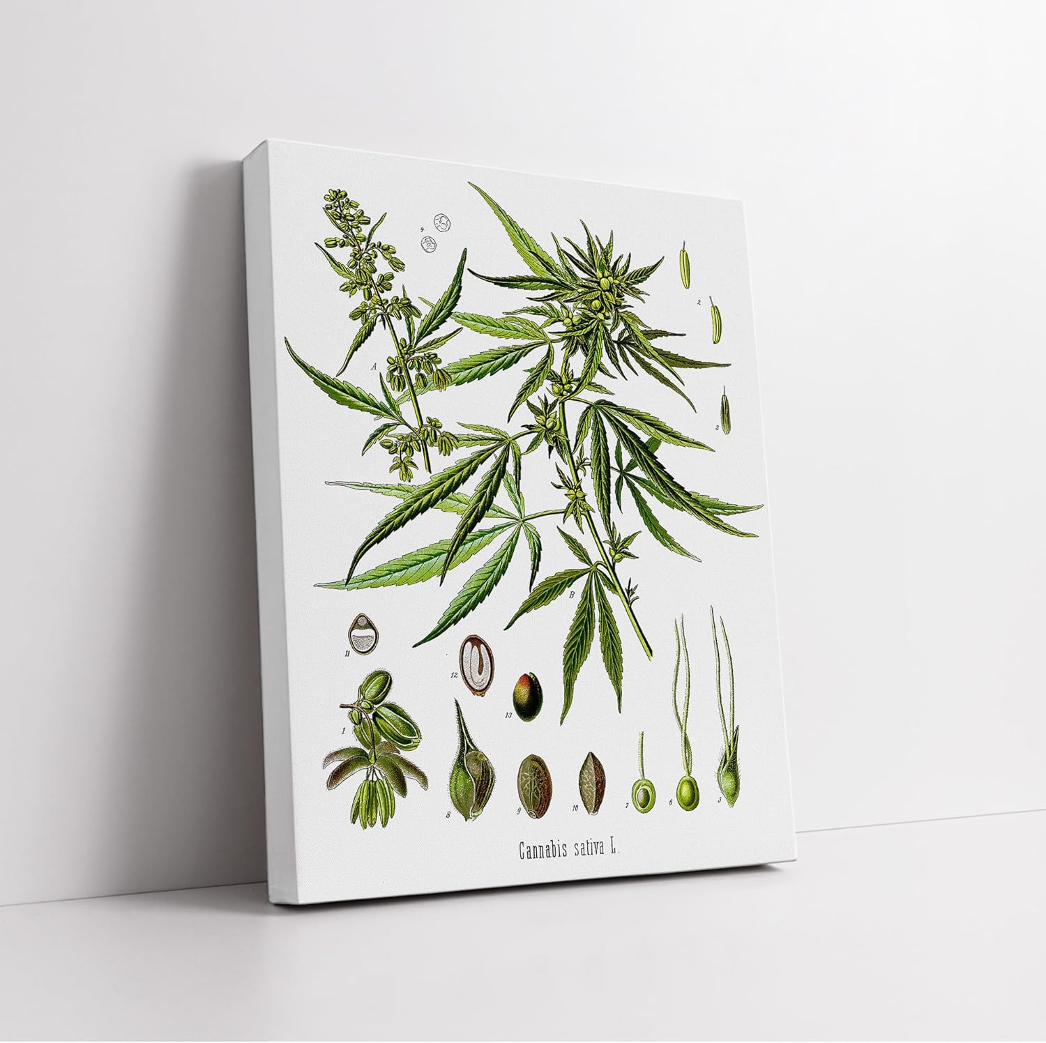 cannabis art