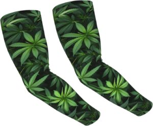 cannabis