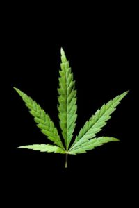 marijuana art