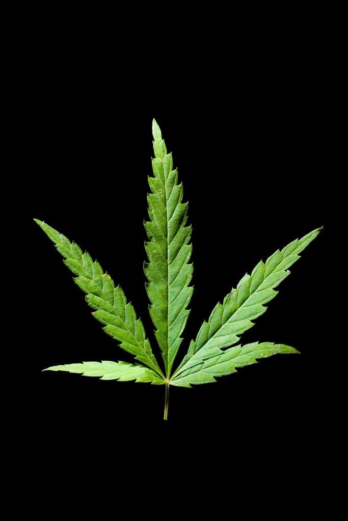 marijuana art