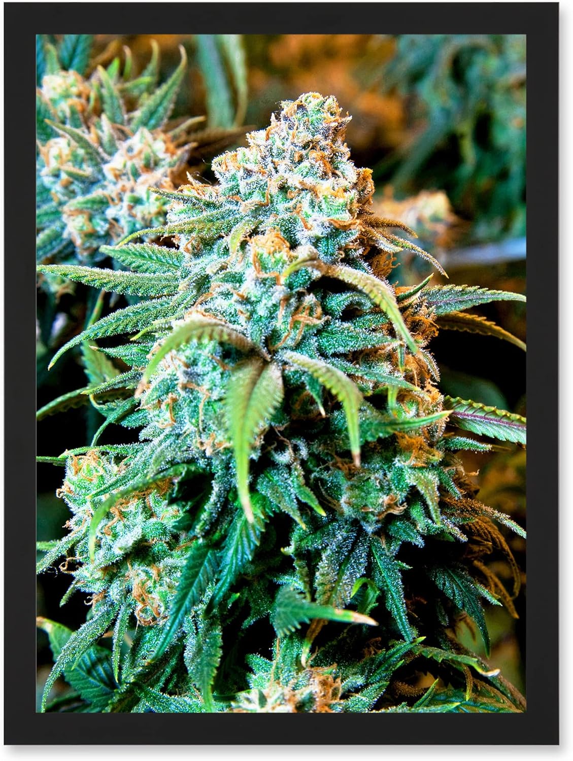 cannabis art