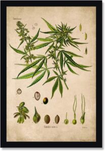 cannabis art