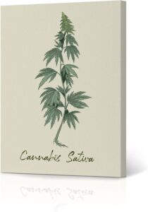marijuana art