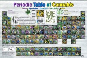 cannabis art